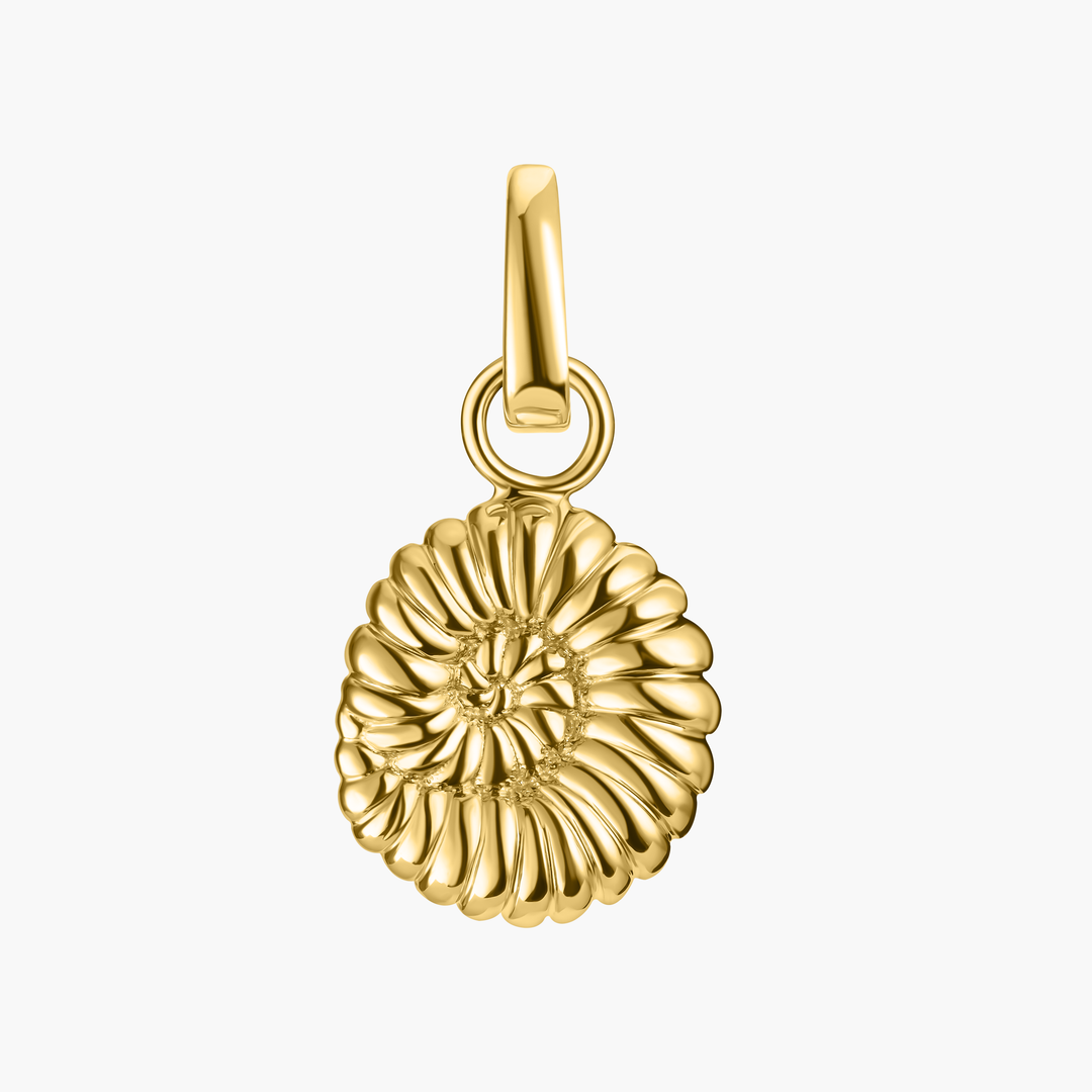 Ammonite Shell Charm