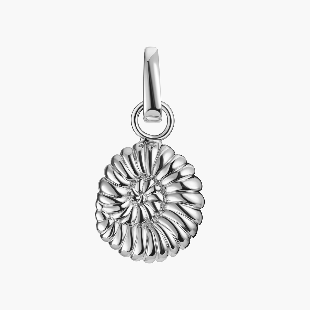 Ammonite Shell Charm