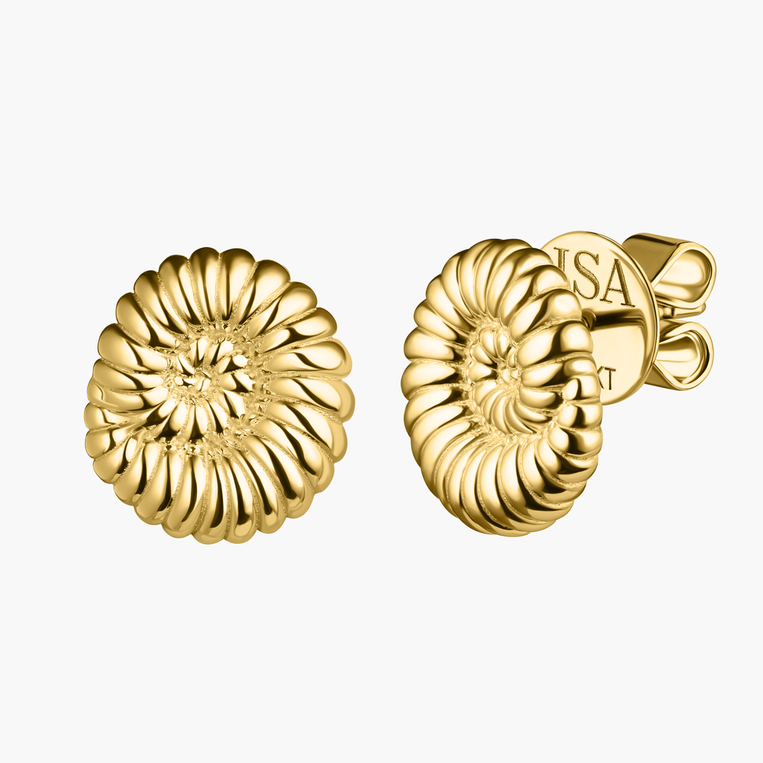 Ammonite Shell Studs
