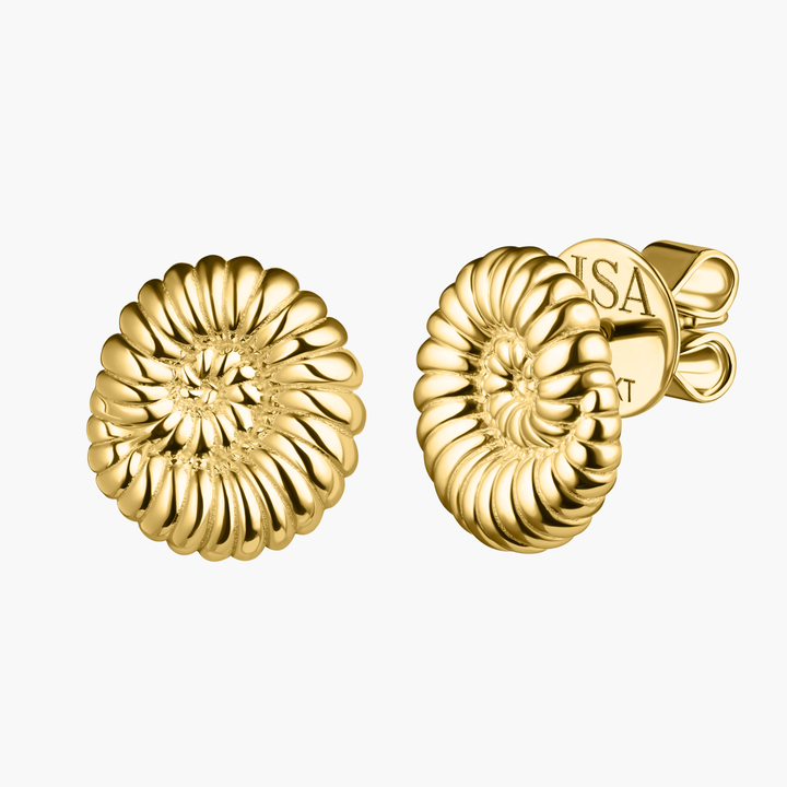 Ammonite Shell Studs