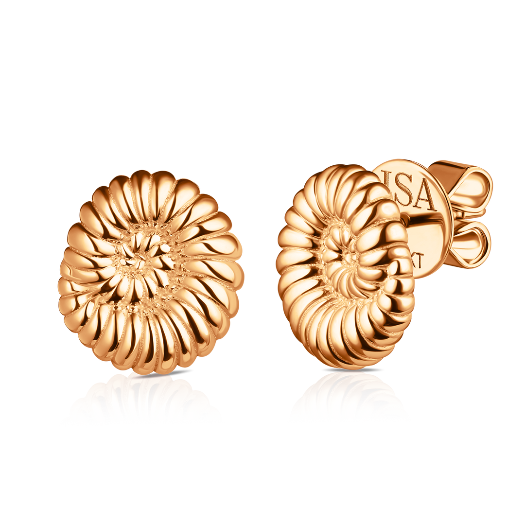 Ammonite Shell Studs