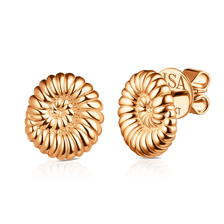 Ammonite Shell Studs