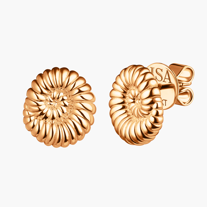 Ammonite Shell Studs