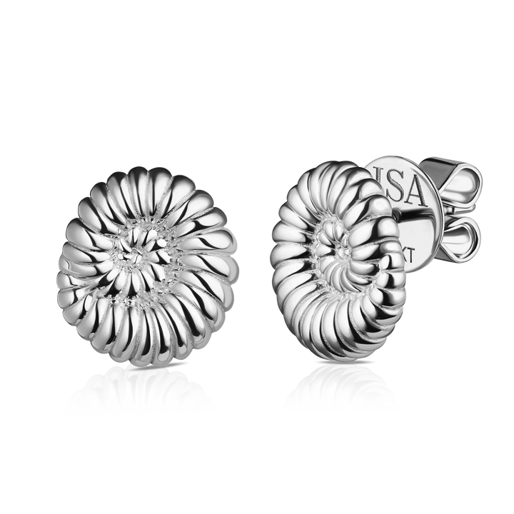 Ammonite Shell Studs