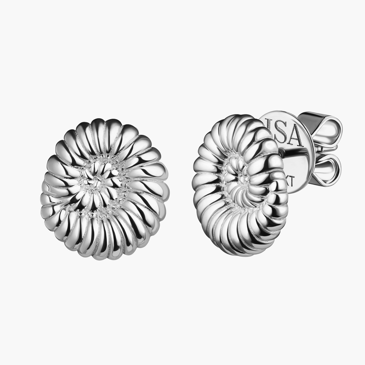 Ammonite Shell Studs