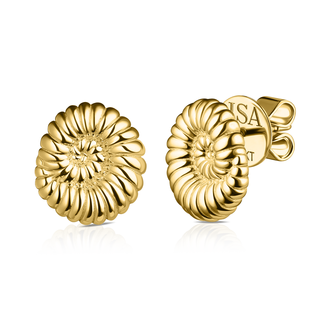 Ammonite Shell Studs