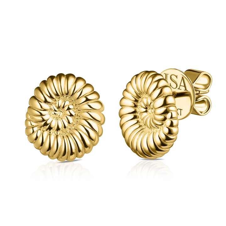 Ammonite Shell Studs
