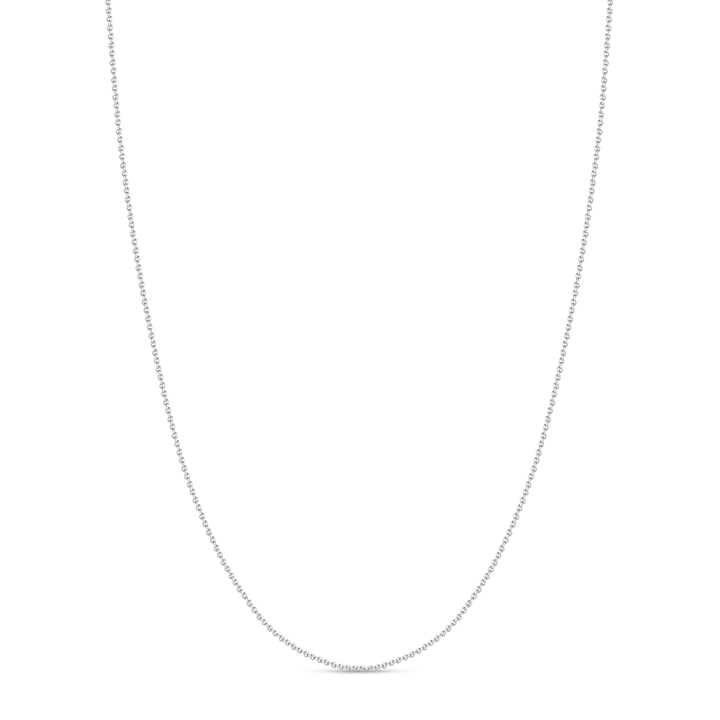 Petite Rolo Chain Necklace