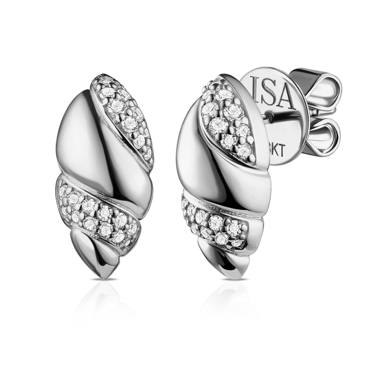 Tulip Shell Studs